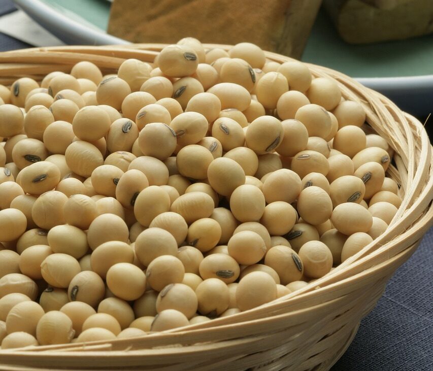 https://pixabay.com/photos/soybean-coarse-cereals-grains-food-2760711/